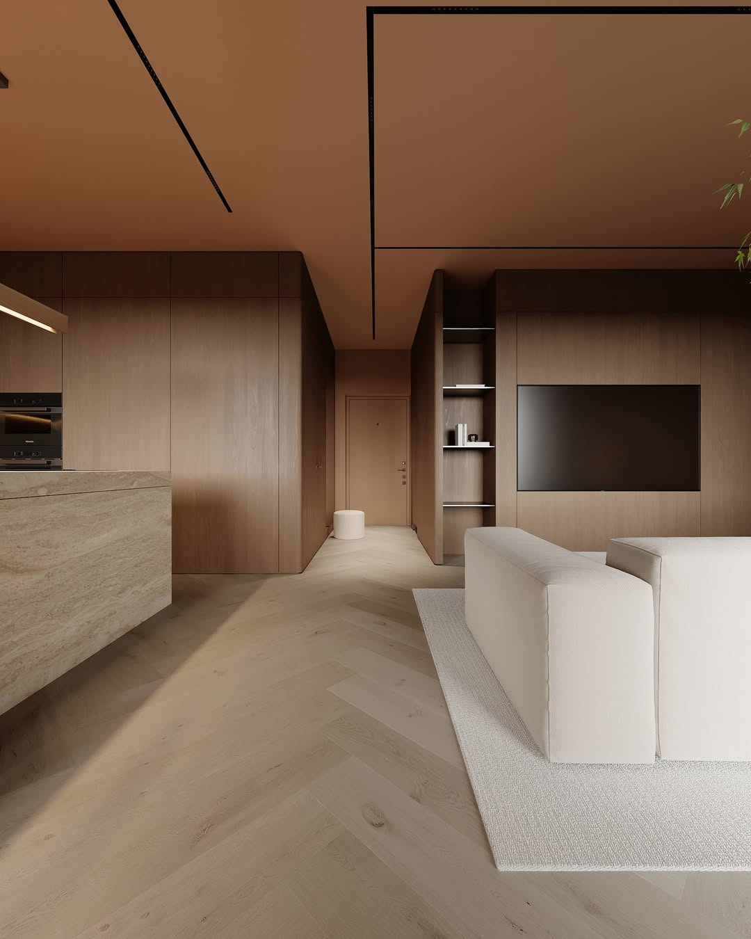 Multifunctional furniture is placed precisely, completely removing superfluous details.